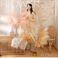 Wholesale Pampas Grass Weddings Home Decor Flower Decorative Flowers Pampas Pampa Grass