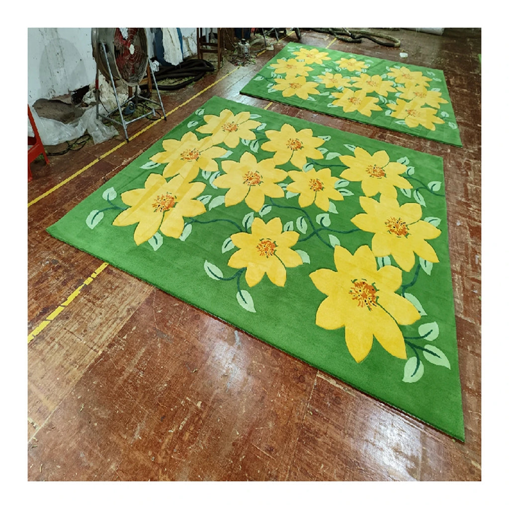 High Quality Any Design Hand Tufted Carpet Area Rug for Living Room Rug