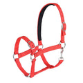 Durable Waterproof H Type Nylon / Pvc Horse Halter Pet Collars Leashes Harness for Dog Simple Convenient and Cheap