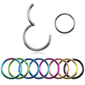 18g 8mm Etc 316L Hypoallergenic Surgical Stainless Steel Piercing Helix Clicker Hinged Segment Nose Ring Cartilage Hoop Earring