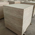 1220*2440mm Poplar Wood Plywood  for Furniture