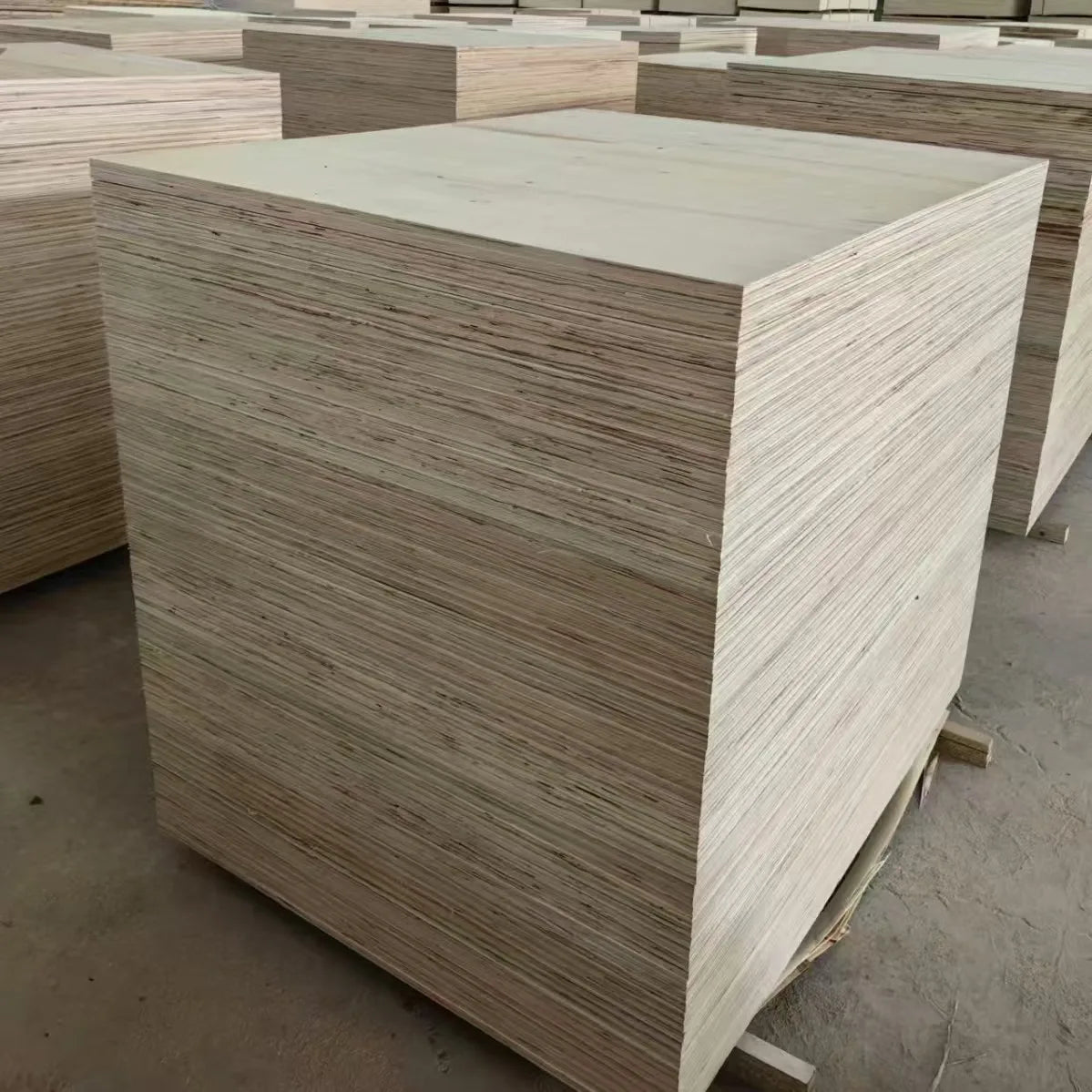 1220*2440mm Poplar Wood Plywood  for Furniture