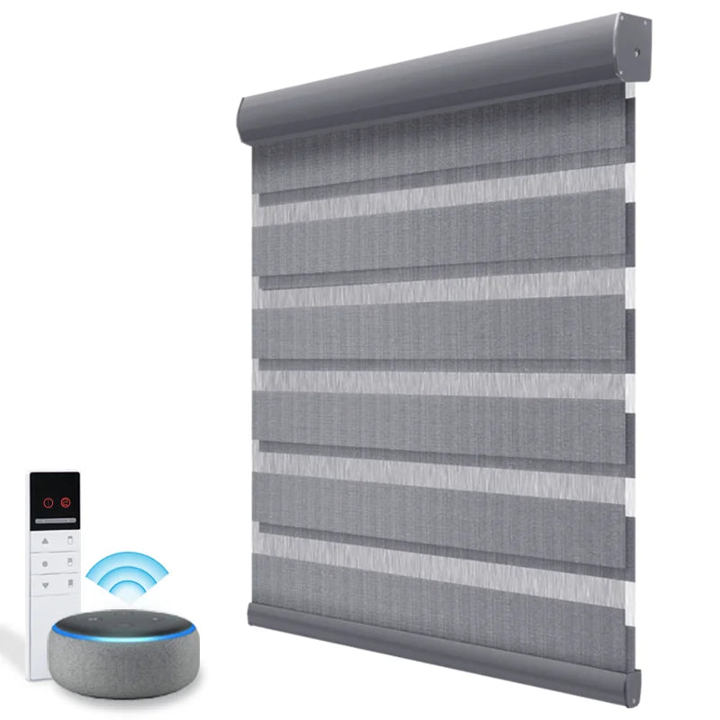 Day and Night Alexa Smart zebra Roller Curtain Blinds Window Shades Motorized Shutter Blackout Electric Curtain Shades