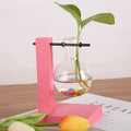 Round Glass Vase Creative Hydroponic Bottle Decorative Wall Vase Modern Design Transparent Arrangement