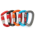 Hot Sale Outdoor Aviation Aluminum D-LOCK Hammock Backpack Cross-Border Main Lock Rope Buckle Rock Climbing Insurance Tool