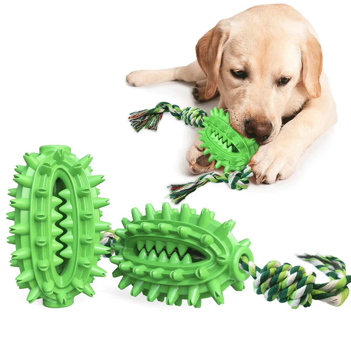 Wholesale Eco-Friendly Cactus Dog Chew Toy From Pet Supplies Factory New Hot Item on TPR Toothbrush Chew Stick for Dogs