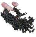 100% Natural Whole Black Lindera Wild Raw Spice Dried Lindera Glauca Fruits for Sale MegaBDM