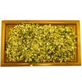 High Quality 1000g Bulk Package of Chinese Dried Chamomile Flower Loose Tea with Flavor for Health Packaged in Bag Box