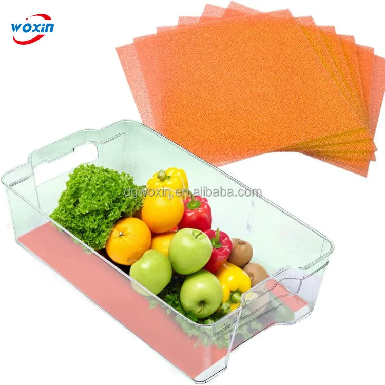 WOXIN 2024 China Manufactured Foam Fridge Shelf Mat Veggie Mats & Sponges Scouring Pads