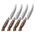 XINZUO Custom 4 Pcs Steak Knife Set Real Damascus Steel Durable Micarta Handle Professional Kitchen Knives
