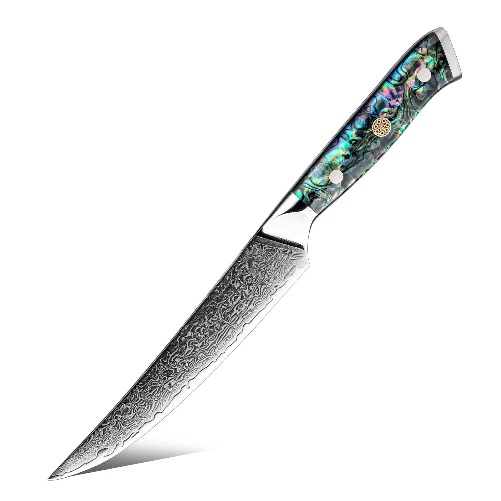 10CR15MOV Handmade Japanese Damascus Kitchen Knife 67 Layers Damascus Steel Dinner Table Steak Knife With Abalone Shell Handle