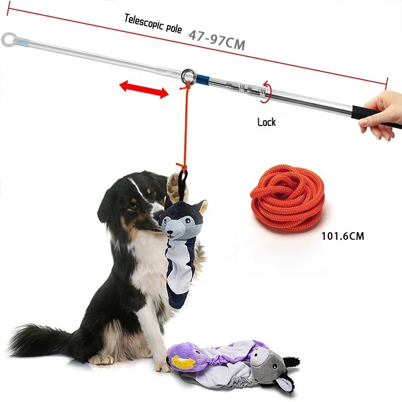 Collapsible Dog Flirt Pole with Detachable Interactive Toy Dog Teaser Wand with Lure Chew Toy for Outdoor Dog Exercise Training