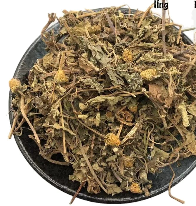 Organic Herb Acmella Paniculata Dried Acmella Paniculata Stem Leaves for Sale