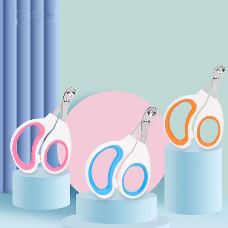 China Professional Manufacture Small Dog Nail Scissors Painless Pet Nail Clippers Design Colorful Pet Supplier