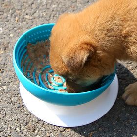 Customised Portable Eco Friendly Large Portable Travel Slow Feeder Pet Dog Bowl