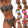 2025 New Summer Collection Women's Sexy Leopard Print Bikini Set High Waist Two-Piece Swimsuit High Cut Push Eco-Friendly Front