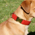 Luxury Corduroy Pumpkin Red Pet Dogs Collar Metal Buckle Wholesale Customizable LOGO Personal Prints in Stock High Quality MegaBDM
