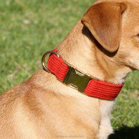 Luxury Corduroy Pumpkin Red Pet Dogs Collar Metal Buckle Wholesale Customizable LOGO Personal Prints in Stock High Quality