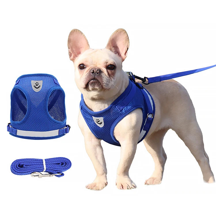 Dog Harness Lead Strong Harness Leash Set Soft Dog Harness for Small Dogs