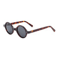 Customised Logo Vendors Acetato Round Frames Polarized Sunglasses with Transparent & Brown Lenses for Unisex Adults