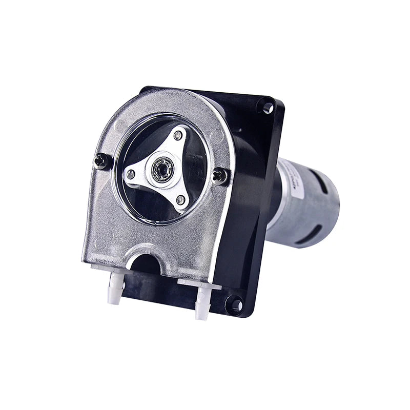 OEM206/WP300 Peristaltic Pump  24v Liquid Transfer Peristaltic Pump Peristaltic Pump Price