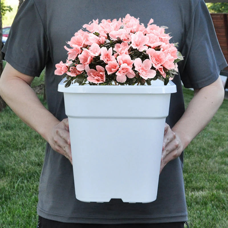 Hot Selling 1-10 Gallon White Factory Bulk Sale Square Large Plastic Nursery Thicken Flower Pots Garden Plants with Holes