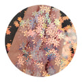 AB Color Shiny Glitter Sequins Mermaid Alphabet Letter Snowflake Star Flower Leaf Shape for Nail Art Slime Filler Craft