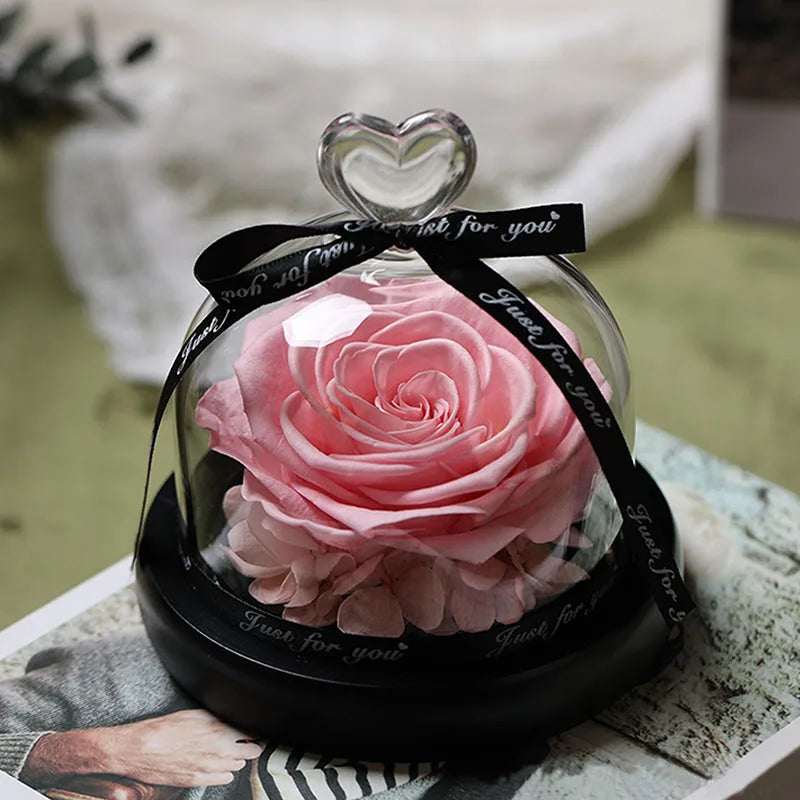 DREA Long Life Lasting Real Natural Everlasting Immortal Decor Dried Eternal Preserved Rose with Light in Box