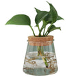 Mountain Shape Planter Tabletop Terrarium Glass Vase for Water Planting Hydroponic Plant with Hole Cork Lid Plant Holder