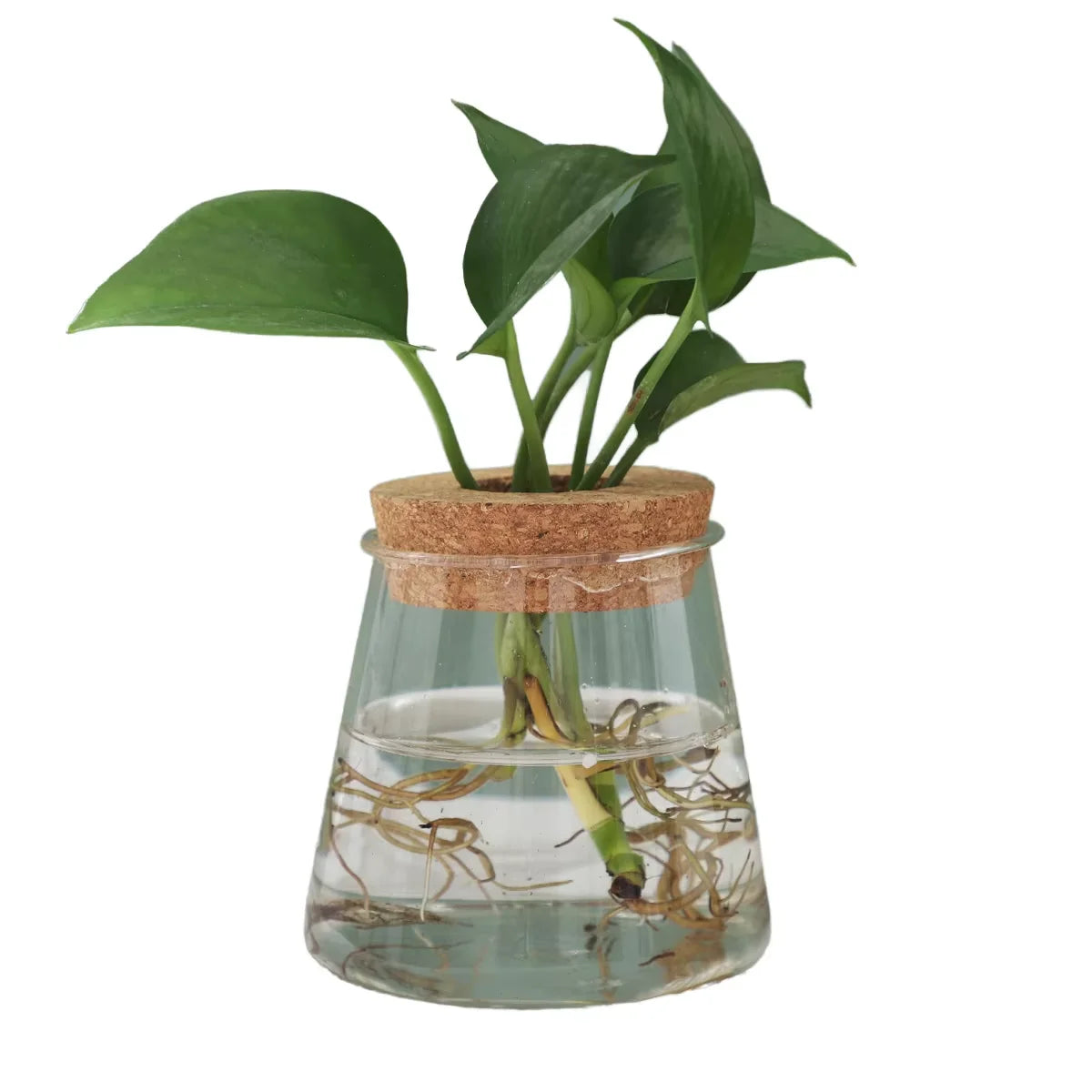 Mountain Shape Planter Tabletop Terrarium Glass Vase for Water Planting Hydroponic Plant with Hole Cork Lid Plant Holder