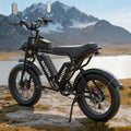 Rayzeph E-bike Q20pro 52v 40ah 20 Inch Dual Motor Dual Lithium Battery Electric Bicycle Fat Tire Electric Mountain Dirt E Bikes MegaBDM