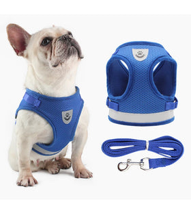 Manufacturer Wholesale Breathable Adjustable No Pull Harness and Leash Set Cooling Soft Mesh Padded Reversible Pet Dog Harness