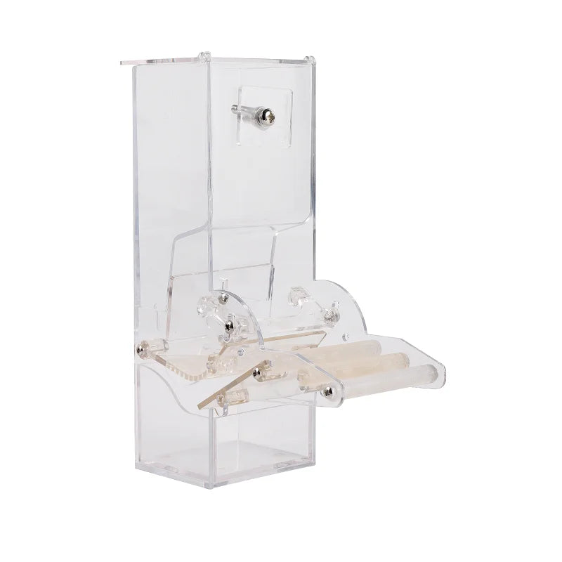 Parrot Pigeon Feeder Plastic Automatic Feeder for Birds Acrylic Bird Cage Feeder