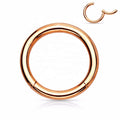 Wholesale F136 Titanium Nose Ring Ear Helix Tragus Hoop Ring Hinged Segment Piercing