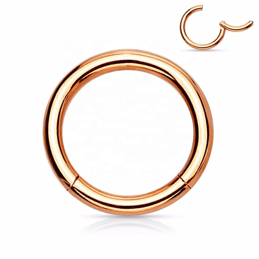 Wholesale F136 Titanium Nose Ring Ear Helix Tragus Hoop Ring Hinged Segment Piercing