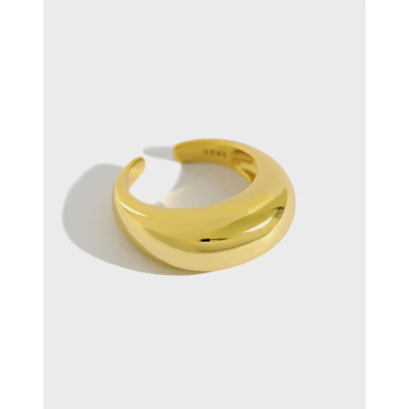High Quality Trendy Design Jewelry S925 Sterling Silver Solid Heavy Rings for Women JBC002