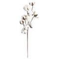 O-X0023 Factory Direct Wholesale 10 Heads Natural Cotton Ball Branch White Dry Cotton Flower for Decor