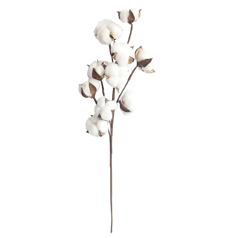 O-X0023 Factory Direct Wholesale 10 Heads Natural Cotton Ball Branch White Dry Cotton Flower for Decor