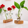 Original European Glass Transparent Vase Water Plants Pothos Flower Arranging Device Creative Office Home Decoration