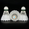 Outdoor Sport Badminton Shuttlecock Traditional Brand Ready to Ship China Factory 1st Class Goose Feather Badminton Shuttlecock