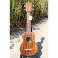 Aiersi Koa Pili Koko Brand High Grade soprano Ukulele Professional All Solid Koa 21 Inch Hawaii Guitar Colour Pearl Custom logo