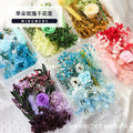 Eternal Life Flower DIY Material Package Rose Natural Dry Flower Creative Handwork Epoxy Resin Mold Dry Flower Accessories