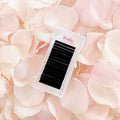 Pbt Fiber Volume Lash Extension Private Label Silk Easy Fanning Blooming Eyelash Extension 0.03 0.05 0.07