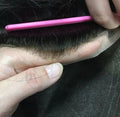 Q6 Hair Replacement System Toupee in Stock