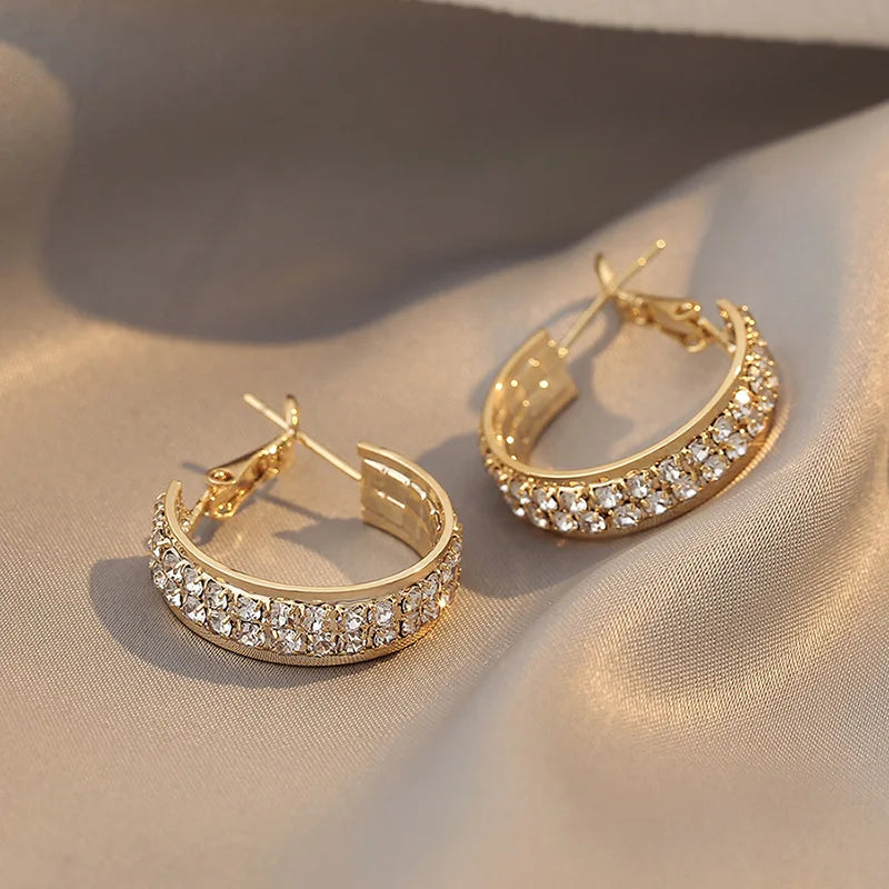 Exaggerated Circle Earrings Delicate S925 Silver Needle Super Flash Zircon Ear Earrings Gifts for Women