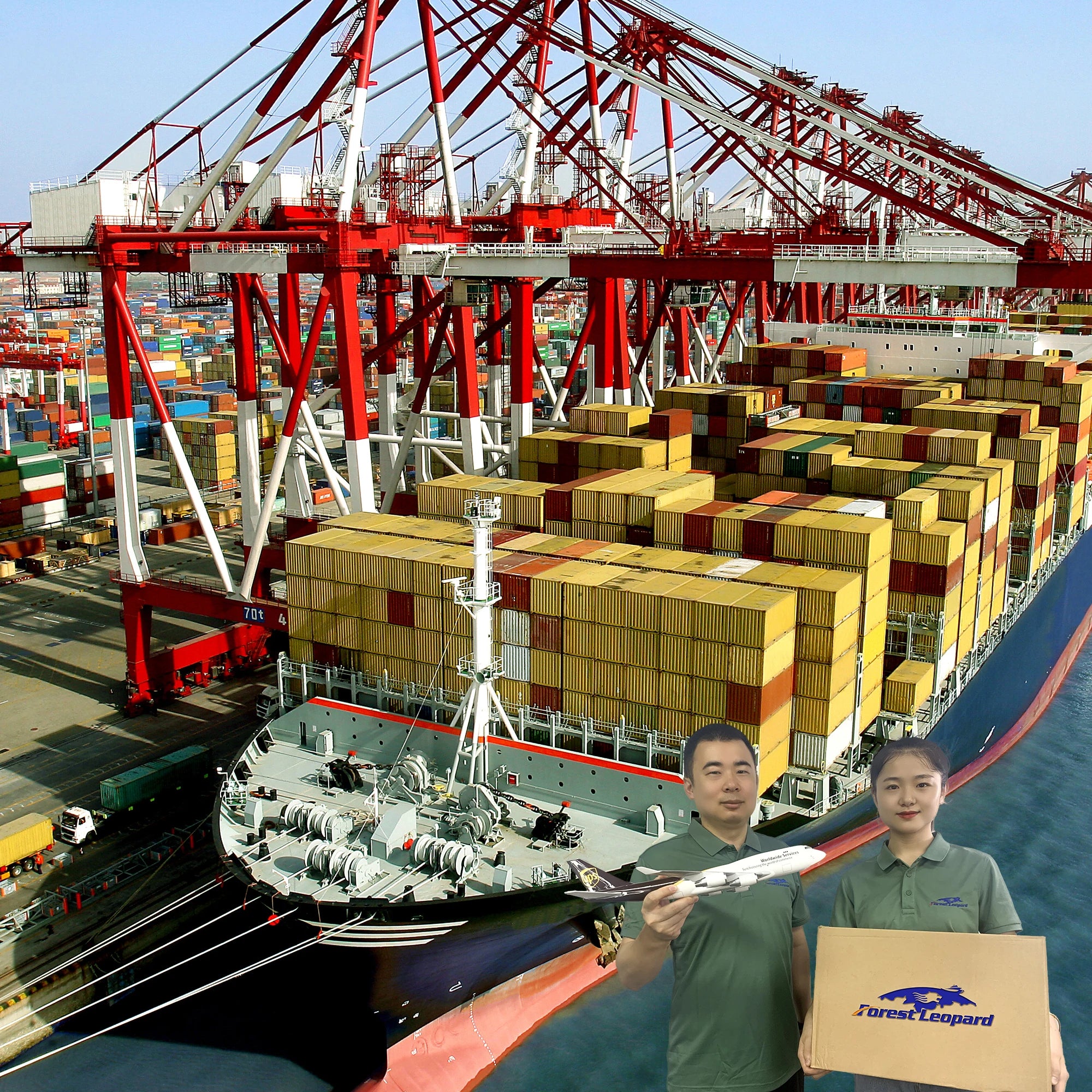 Freight Forwarder in Shanghai Cheap /Seacargo Services Shipping Rates FBA Freight Forwarder From China Agent DDP