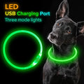 LED Hundehalsban Hund Hond Leuchtendes Hunde Bright LED Dog Collar Collier Lumineux Pour Chien with Lights