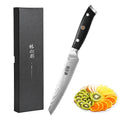 Wholesale Pakka G10 Handle Kitchen Knives 67 Layers VG10 Damascus Steel Fruit and Paring Knives