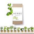 Biodegradable Pepper Box Peat Pots Indoor Vegetable Herb Planter Home Garden Growing Kits