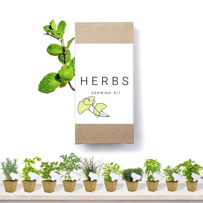 Biodegradable Pepper Box Peat Pots Indoor Vegetable Herb Planter Home Garden Growing Kits